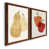 Walnut Framed