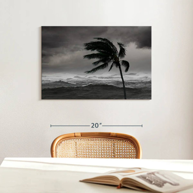 Tempête de mer tropicale Alvord, H 16 po x l 24 po
