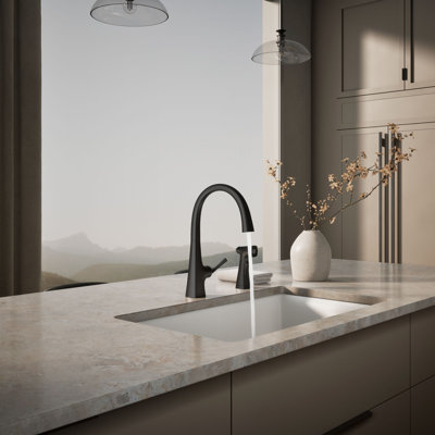Graze Swing Spout Faucet with Sidespray