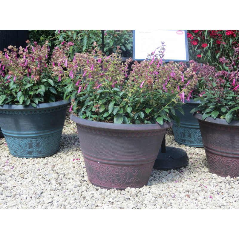 Sagamore Planter, Black/Maroon