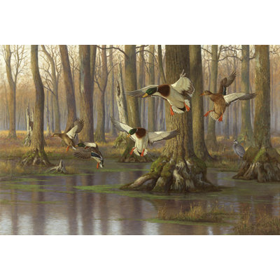 Bassin paisible de 26 po x 18 po gholston Paillasson d’intérieur antidérapant