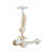 Beige is out of stock selected