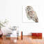 Forest Friends III by Lisa Audit - Painting-53043398-53043399-53043400