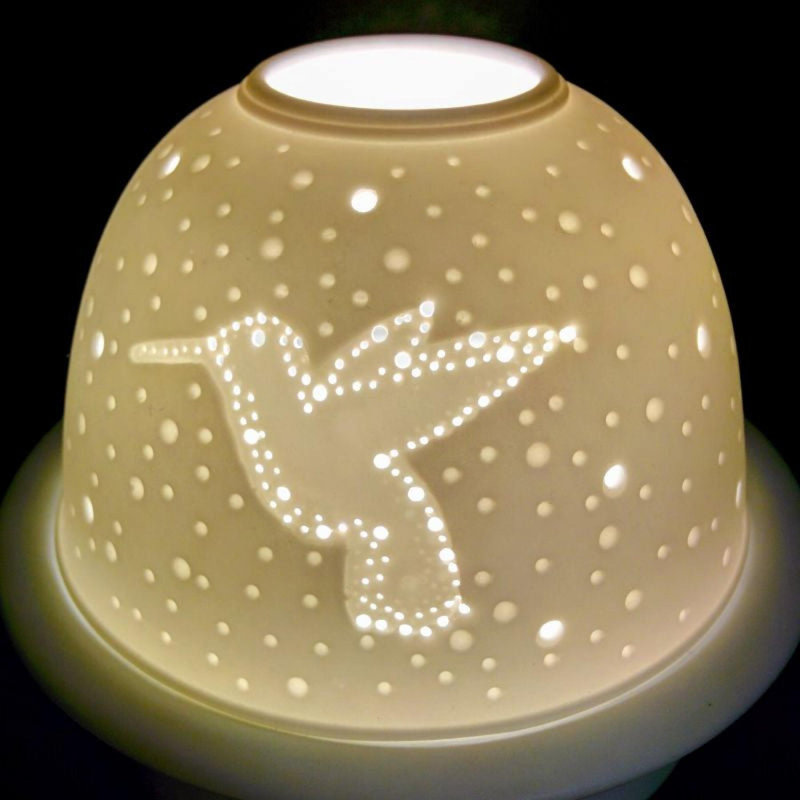 Dôme lumineux colibri