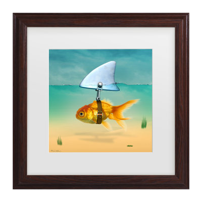 «Gold Fish» encadré par Mark Ashkenazi