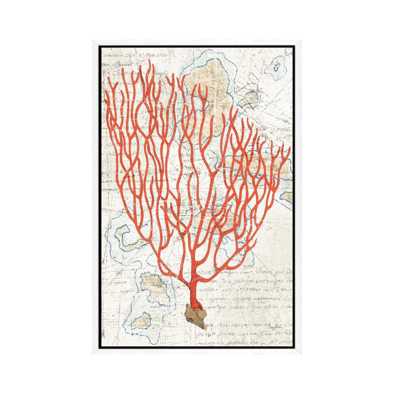 Textured Coral IV by Avery Tillmon - Print on Canvas, 66.04 cm H x 45.72 cm W, White Floater Framed
