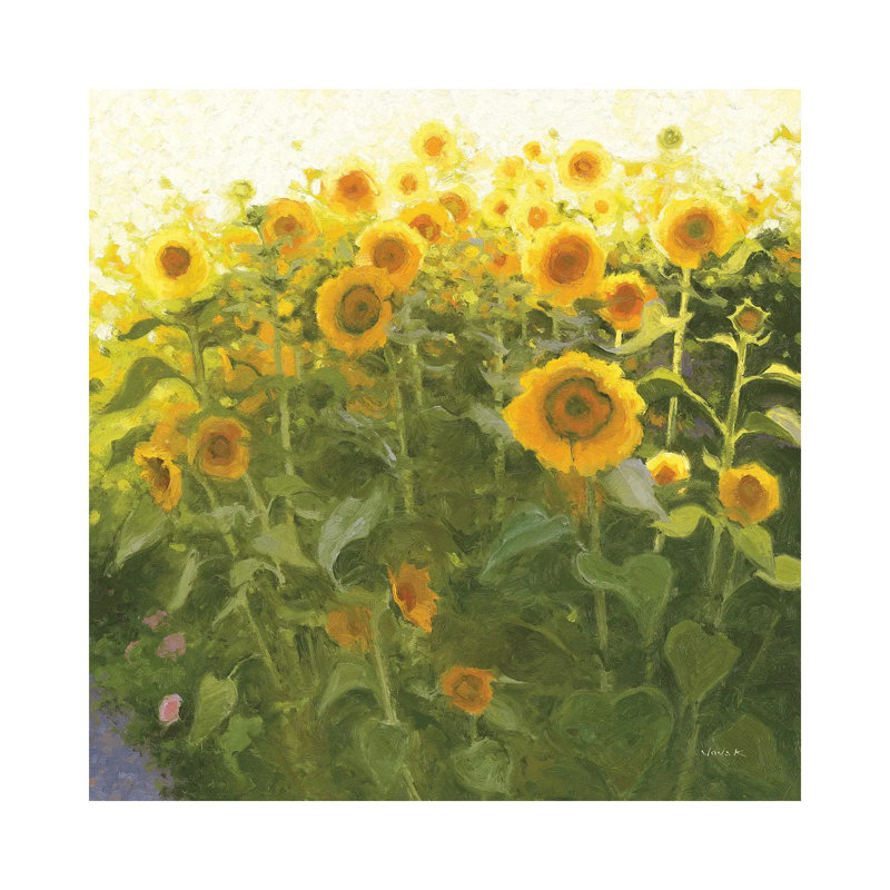 Sunflower Field 1 Piece Wrapped Canvas Painting, 93.98 cm H x 93.98 cm W