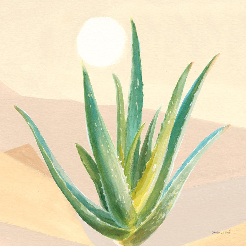 " Desert Greenhouse V ", 12" H x 12" W, No, Wrapped Canvas