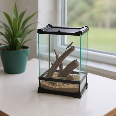 Lizard;Snake;Snake Cage