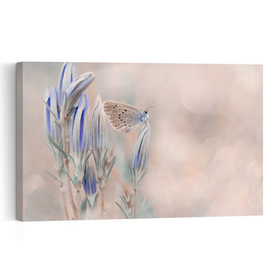 Pastel Butterfly And Buds Delicate Dreamy Elegant Butterfly Flower Nature Wall Art Print 1 Piece Wrapped Canvas Wall Art