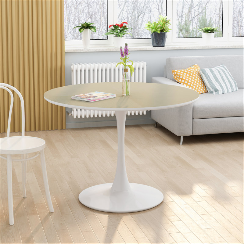 Table de salle à manger, Bois, Blanc