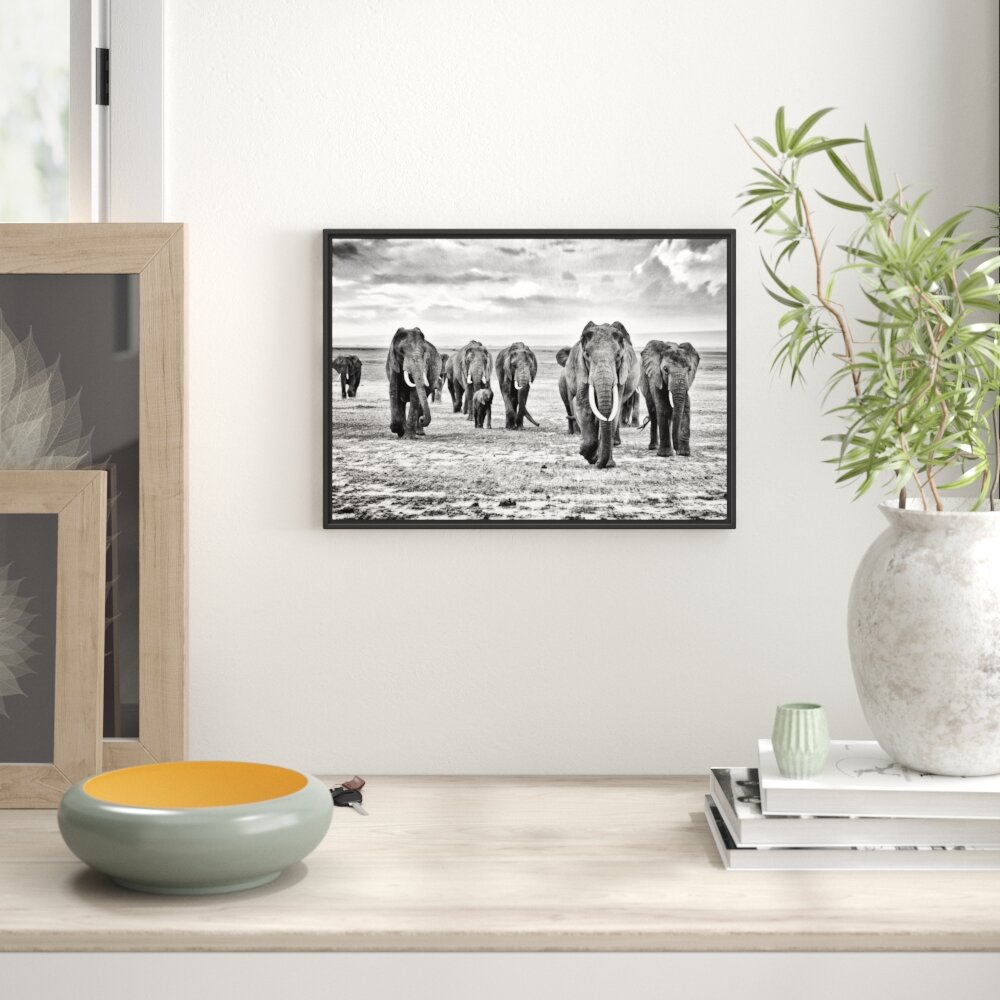 Elefantenfamilie in der Savanne Floater Frame Graphic Art Print auf Papier