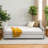 Cherel Daybed-329452069-331665215