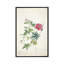 Géranium. Deux tiges entrelacées de différentes espèces, 1767 par Georg Dionysius Ehret - impression d'art graphique-55979020-55979019-55979017