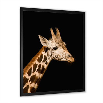 Gros plan sur une girafe IV - photographie sur toile