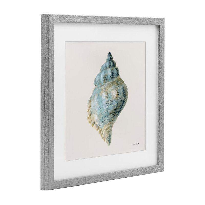 «Coastal Bliss Conch Shell», reproduction sous verre, conception de Danhui Nai, Cadre de ferme gris, H 16 po x l 16 po