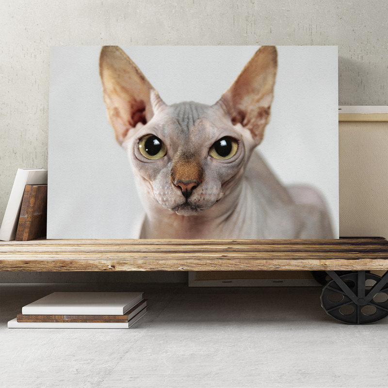 Sphynx Cat - Wall Art, 35cm H x 50cm W