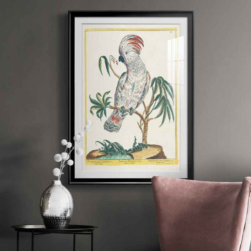 Pastel Birds II - impression, H 36,5 po x l 26,5 po x P 1 po, Noir