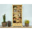 Ortego 200cm H x 90cm W Solid Wood Standard Bookcase