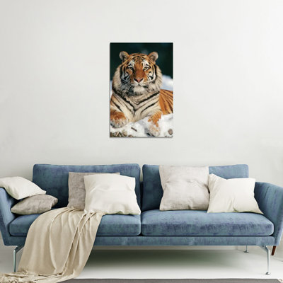 " Siberian Tiger In Snow, Siberian Tiger Park, Harbin, China " by Konrad Wothe
