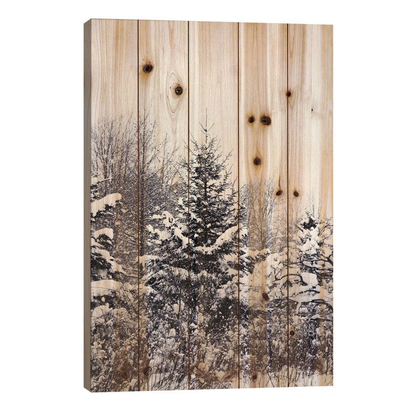 Pins d'hiver, L 26 po x H 40 po