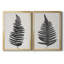Toile encadrée haut de gamme Forest Fern III - prête à être accrochée-2059010765-2059010753