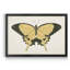 " Beautiful Butterfly I "-345591197-345591194