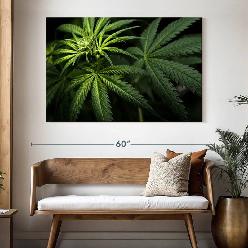 Cannabi dans le noir, H 34 po x l 51 po