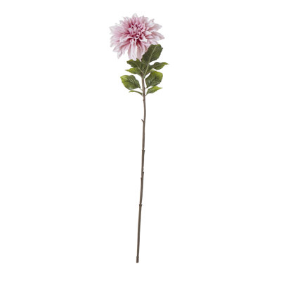 Dahlia Arrangement