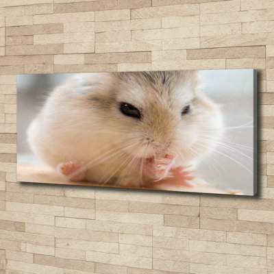 Hamster - No Frame Print on Canvas