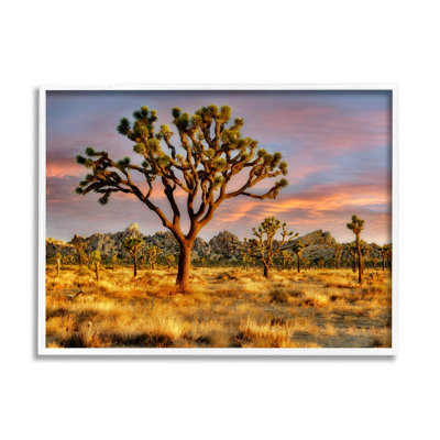 " Savanna Trees " by Dennis Frates