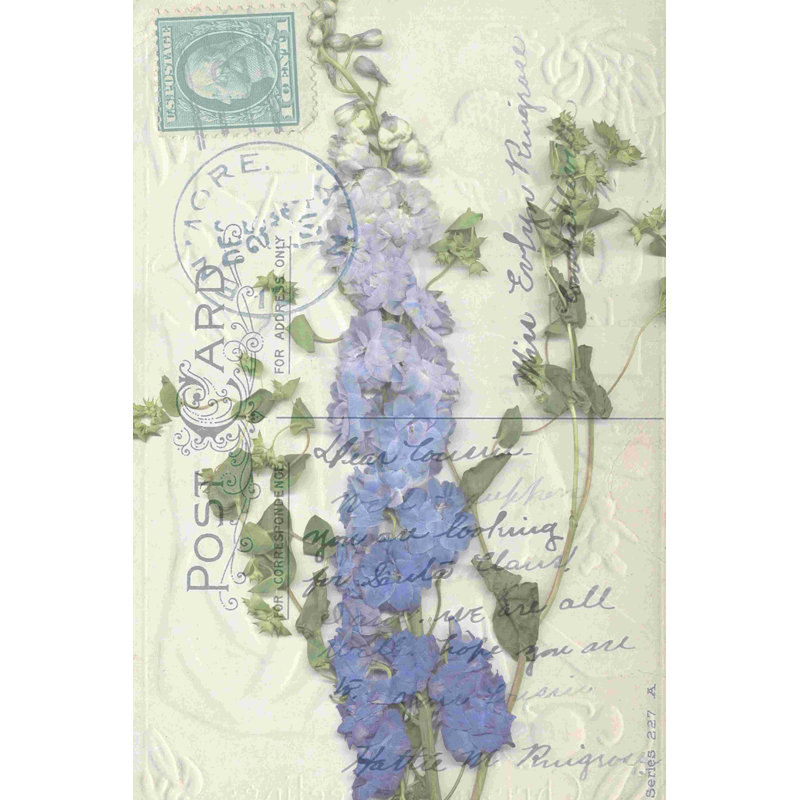 Non-Embshd. Carte postale Wildflowers II, H 12 po x l 8 po