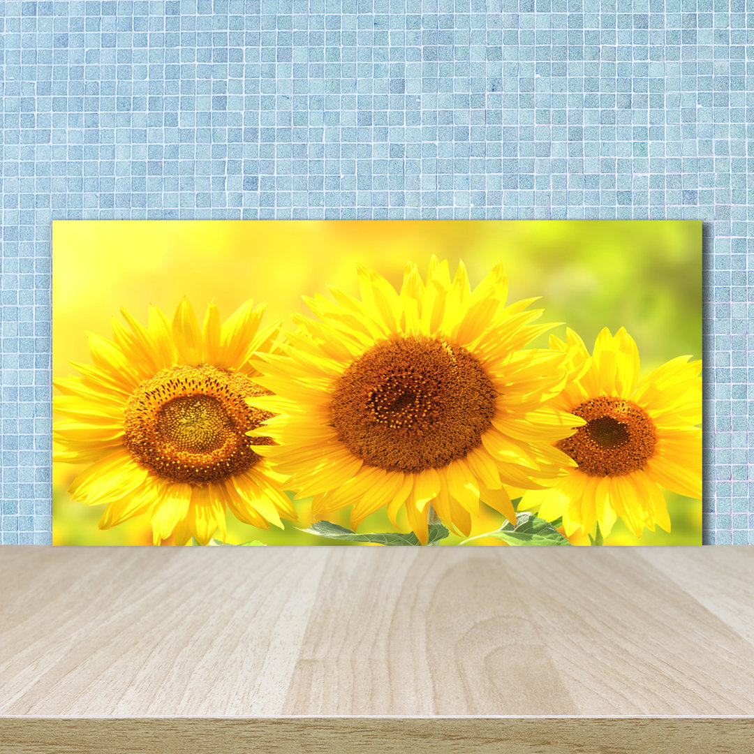 50 cm x 100 cm Glas Spritzschutzpaneel Sonnenblumen