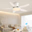 Andreano 122cm Ceiling Fan with LED Lights-1124662481