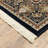 Oriental Indoor Rug-1644988242