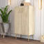 Baneen 8 Pair Shoe Storage Cabinet