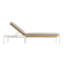 Dog Days Outdoor Chaise Lounge-96832067-67393290