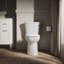 Kingston Toilet Tank