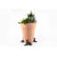 Pieds de jardinière berger allemand de couleur bronze dans une boîte cadeau
