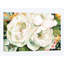 «Garden» par Carol Robinson - impression sur toile tendue-72124041-72124035-32494457