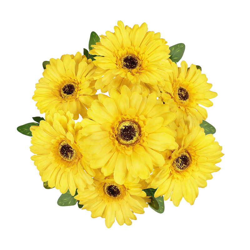 Daisy Arrangement, Yellow