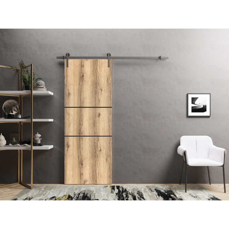 Porte coulissante de style grange avec quincaillerie en acier inoxydable, 2 m (6,6 pi), supports de rail en chêne Planum 0014, ensemble robuste argenté, portes intérieures modernes à panneaux pleins - 81 cm x 203 cm (32 po x 80 po) - Rail argenté