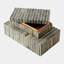 Bone Box-43403527