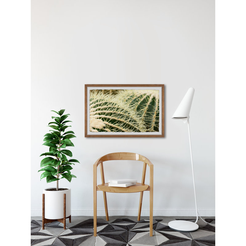 Cactus Thorns 1 Piece Single Picture Frame Painting, 20 cm H x 30 cm W