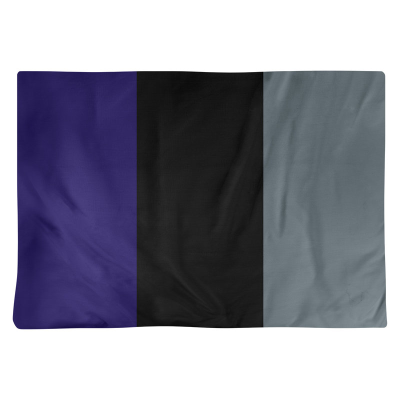 Récapitulatif 18" basket Phoenix, Mauve / noir / gris, Polyester