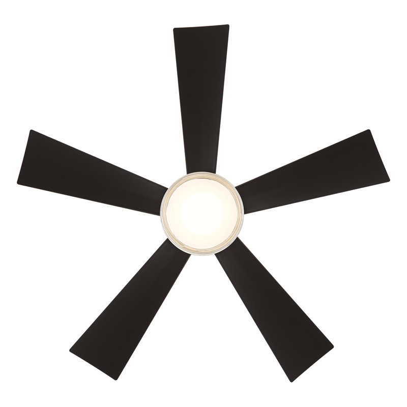 Wynd 5-Blade Outdoor/Indoor Smart Standard Ceiling Fan with LED Light Kit and Remote Included, 42", Matte Black