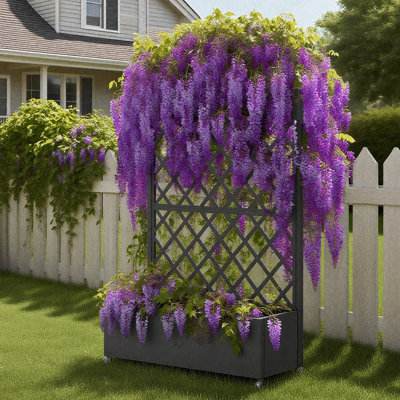 Lit de jardin surélevé roulant avec treillis pour plantes grimpantes