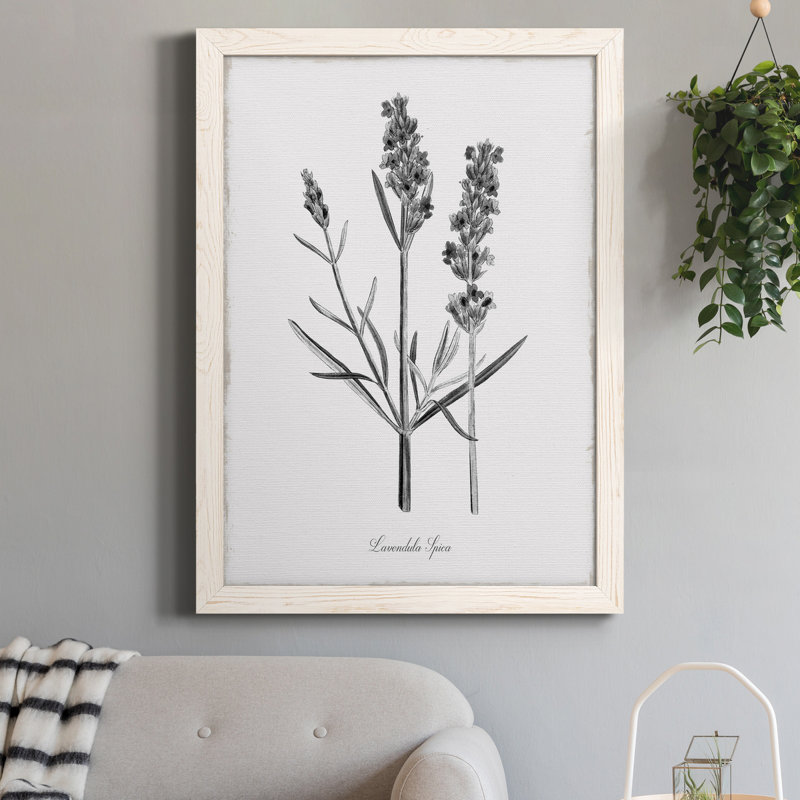 Simplement lavande - Toile encadrée de qualité supérieure - prête à être accrochée, H 20 po x l 17 po x P 1 po, Blanc