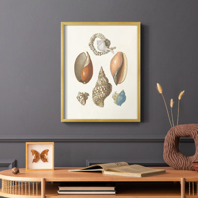 Knorr Shells & Coral I, reproduction encadrée - bois massif