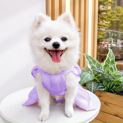 Polyester Skirt Pet Wedding Dress Dress Dog Clothes Supplies Can Be Hung And Leashed